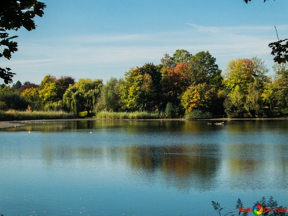 Pappelsee Herbst 18.10.2017-8683