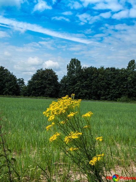 Rolliausflug 06-07-2016-020