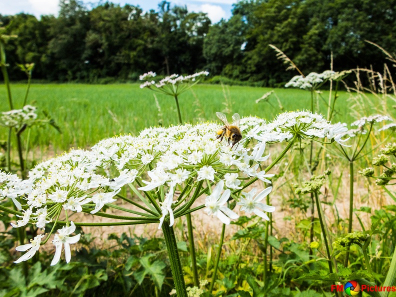 Rolliausflug 06-07-2016-04