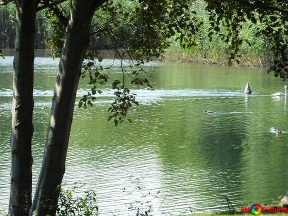 pappelsee-II-18-08-2016-066