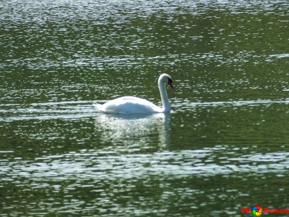 pappelsee-II-18-08-2016-069