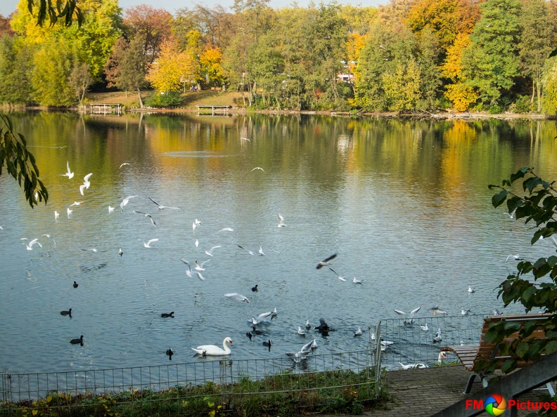 pappelsee-wandelw-30-10-0044.jpg