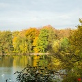 pappelsee-wandelw-30-10-0047