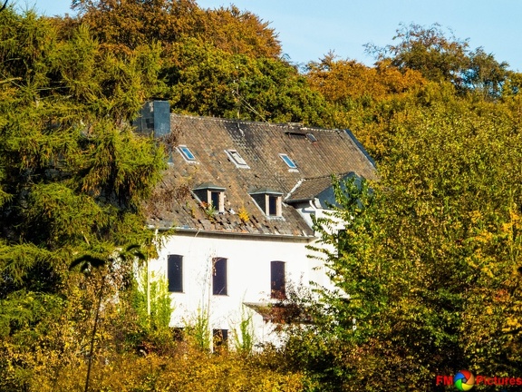 Kloster und Herbstwald 31.10.2016-7180-1