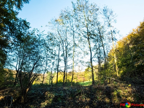 kloster-herbstwald-31-10-0012