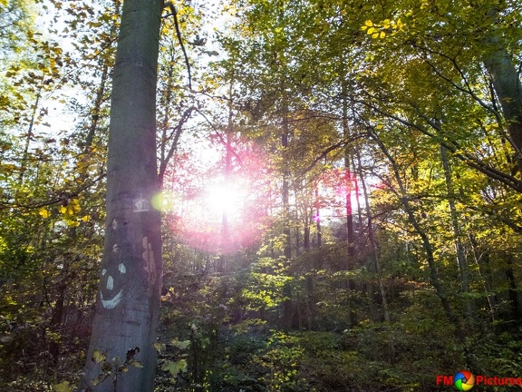 kloster-herbstwald-31-10-0013