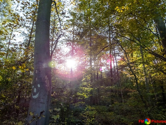 kloster-herbstwald-31-10-0014