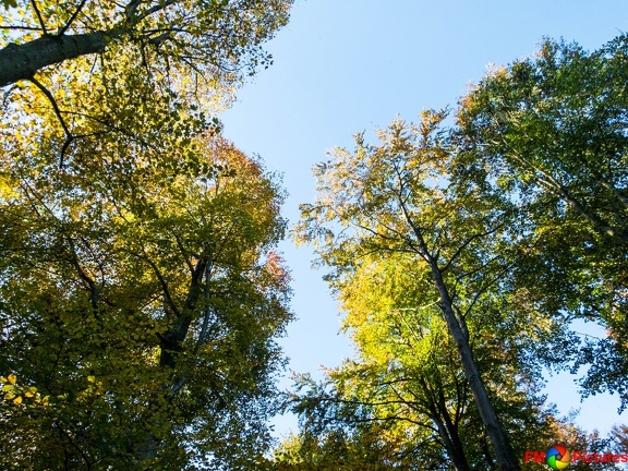 kloster-herbstwald-31-10-0015