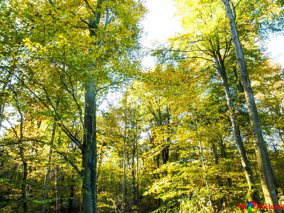 kloster-herbstwald-31-10-0016