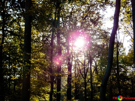 kloster-herbstwald-31-10-0019