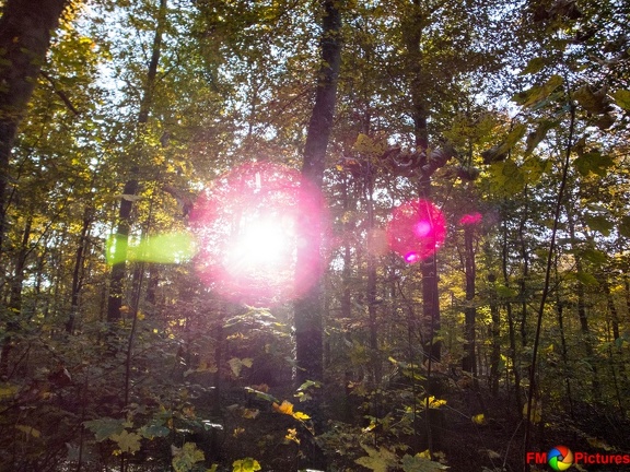 kloster-herbstwald-31-10-0020