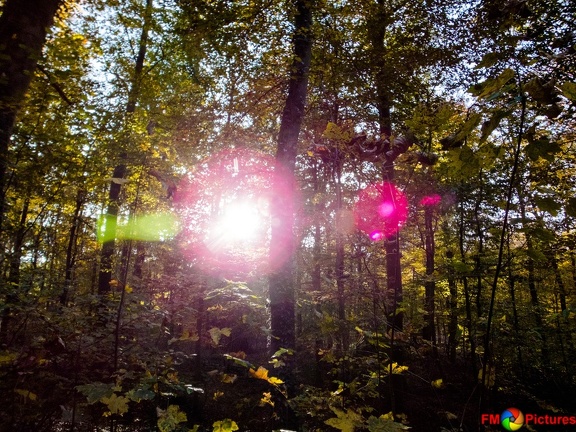 kloster-herbstwald-31-10-0021