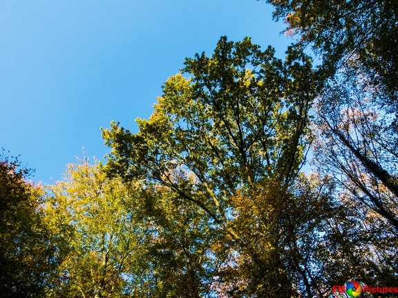 kloster-herbstwald-31-10-0022