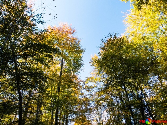 kloster-herbstwald-31-10-0023