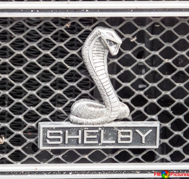 mustangtreffen-I-08-2016-026.jpg