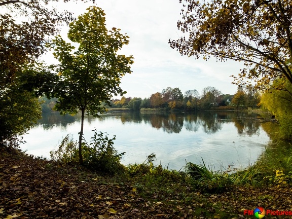 pappelsee-wandelw-30-10-0068