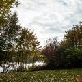pappelsee-wandelw-30-10-0094