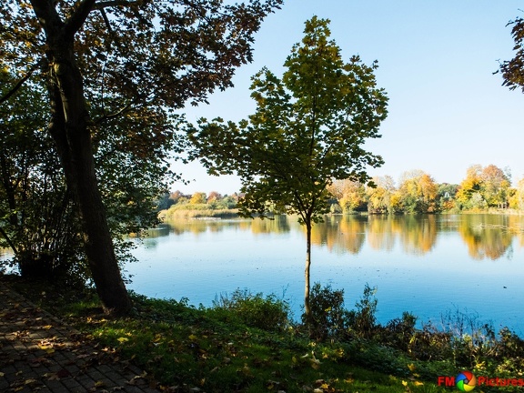 herbst-pappelsee-27-10-15-033