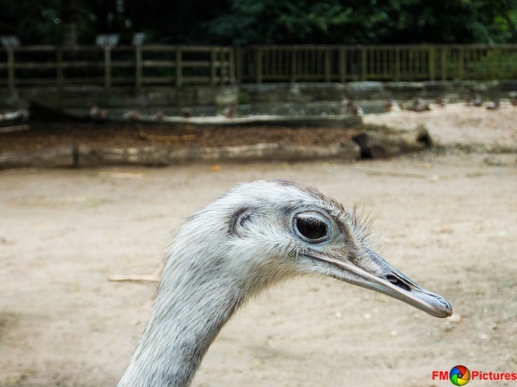 zoo-krefeld-08-08-2015-0011