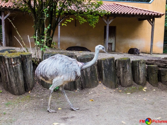 zoo-krefeld-08-08-2015-0019