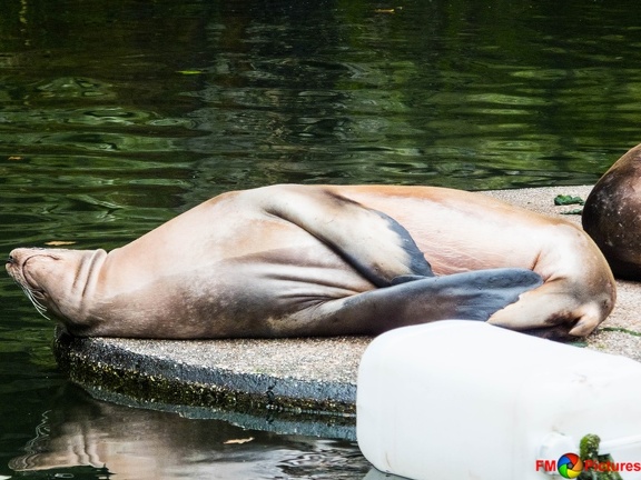 zoo-krefeld-08-08-2015-0310