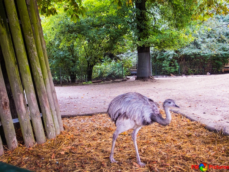 zoo-krefeld-08-08-2015-0007.jpg