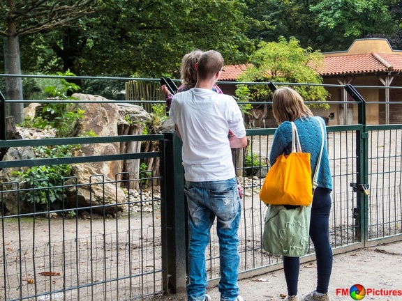 zoo-krefeld-08-08-2015-0001