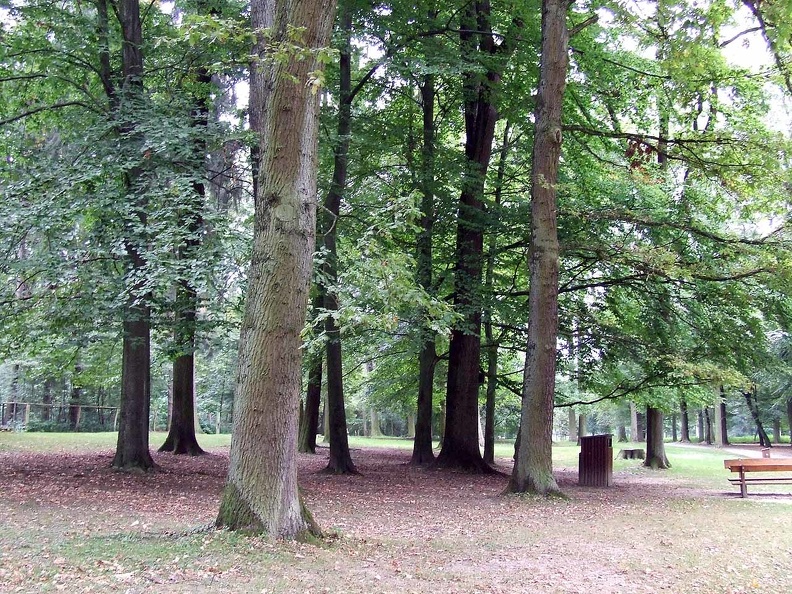 Wildpark Grafenberger Wald 2014--3.jpg