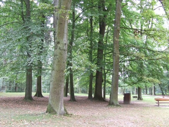 Wildpark Grafenberger Wald 2014-4027