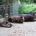 Zoo Krefeld 09-2014-005