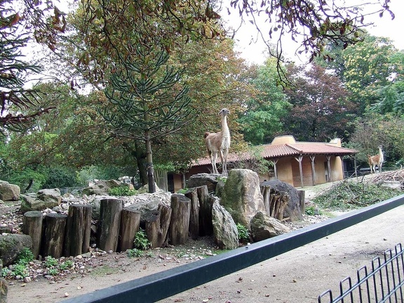 Zoo Krefeld 09-2014-010