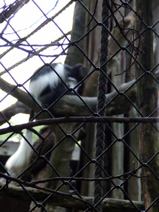 Zoo Krefeld 09-2014-015