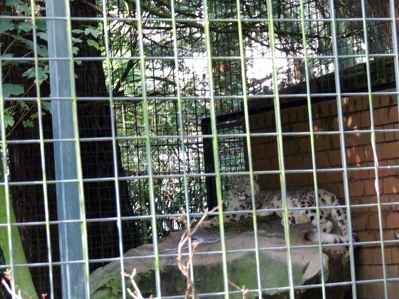 Zoo Krefeld 09-2014-045
