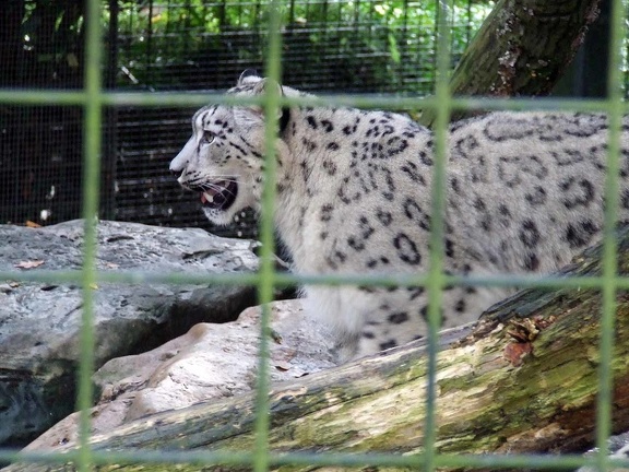 Zoo Krefeld 09-2014-049