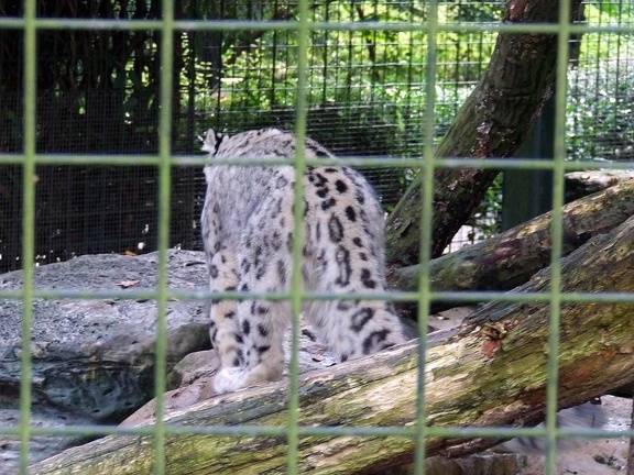 Zoo Krefeld 09-2014-050