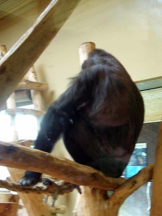 Zoo Krefeld 09-2014-152