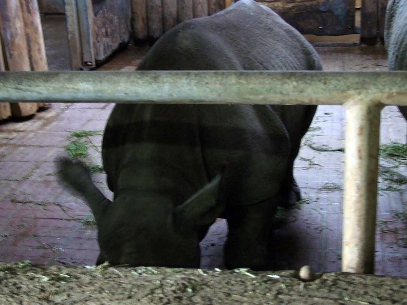 Zoo Krefeld 09-2014-178