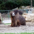 Zoo Krefeld 09-2014-182