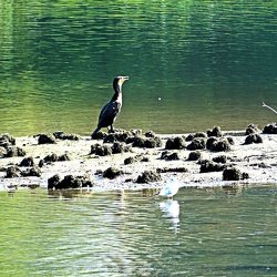Pappelsee Kamp-Lintfort 27.09.2014 : HS50 EXR