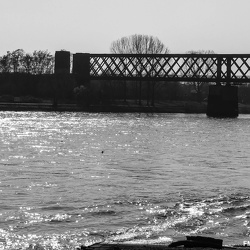 Urmiz- Engerser Eisenbahnbrücke 01.03.2011