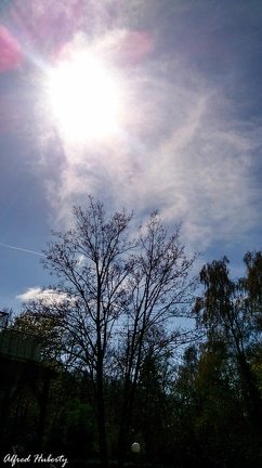 kamp-lintfort-gruen-2013-047