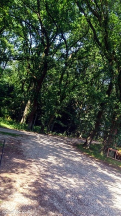 kamp-lintfort-gruen-2013-050