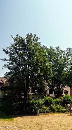 kamp-lintfort-gruen-2013-054